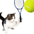Cat Tennis Master