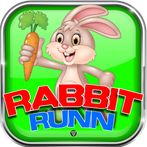 Rabbit Runn