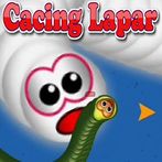 WORM ZONE : GAME CACING LAPAR