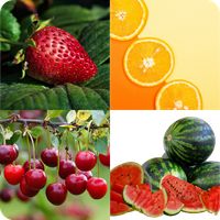 Fun Food Quiz - Test your know