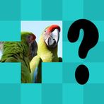 Угадай картинику по фрагменту