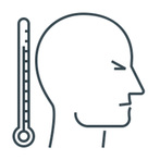 Ultra Animals Word Power