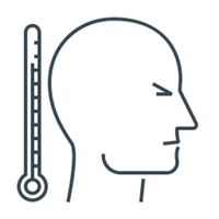 Ultra Animals Word Power