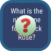 NBA SlamDunk Basketball Quiz