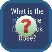 NBA SlamDunk Basketball Quiz