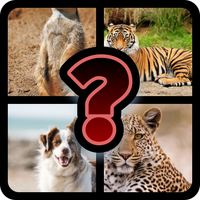 حيوانات اختبار