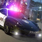 Police Highway