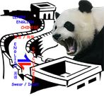 CN/EN Learn to Curse and Swear