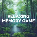 Relaxing Memory Game