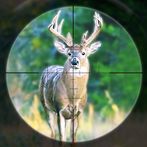 Deer Hunting Games Wild Animal