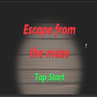 Escape from The Maze