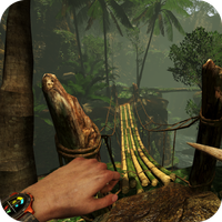 Dead Survival Island 2