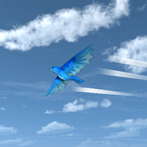 Glide Birds