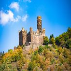 The Castle