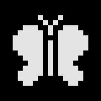 Hide and Seek - 1bit