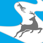 Animal Chase