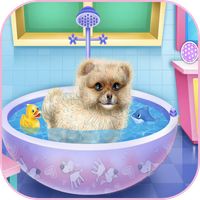 beautiful caring dog game