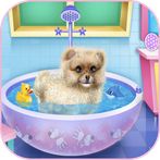 beautiful caring dog game