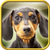 Weenie Walker Games