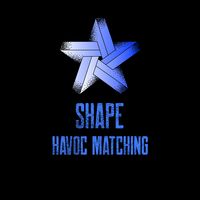 Shape Havoc Matching