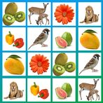 Picture Match. Memory. Concent