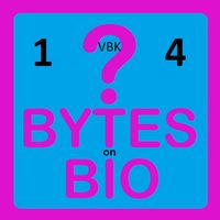 BoB Quiz 1VBK4