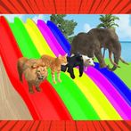 Long Slide Game