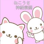 cat & rabbit concentration gam