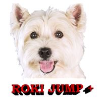 RokiJump+