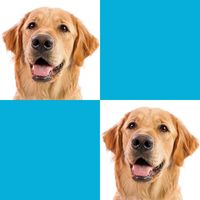 Picture Macth Game -Memory