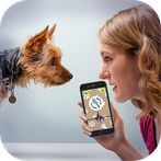 Dog Language Translator - Woof