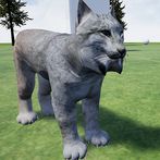 Lynx Cat Runner Simulator