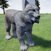 Lynx Cat Runner Simulator