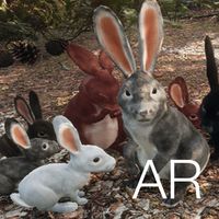 AR Rabbits