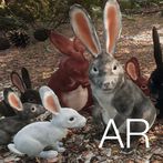 AR Rabbits