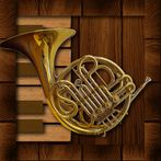 Professional French Horn