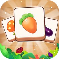 Tile Connect Puzzle Master