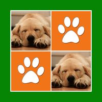 Cute Dogs Cards Matching Game