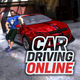 Car Driving Online: Open World