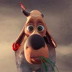 Kharbga Brain Battle