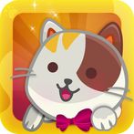 CheeseCake : Cute CatLife