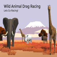 Animal Drag Racing