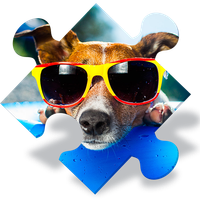 Dogs Jigsaw Puzzle Games