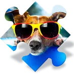 Dogs Jigsaw Puzzle Games