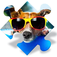 Dogs Jigsaw Puzzle Games