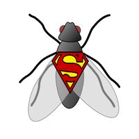 Gıcık Sinek - Sinek Yakalamaca