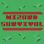 Wizard Survival
