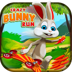 bunny Game -skateboard Game