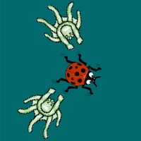 LadyBug Survival:Avoid Enemies