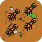 Beetle Frenzy